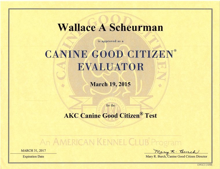 Scheurman's K9 Academy Dog Training Jacksonville Florida