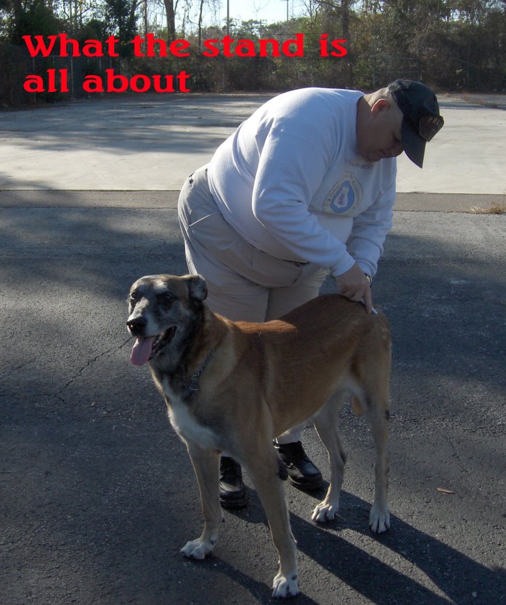 wallace k9 training center